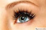 Eyelash or Eyebrow Tint